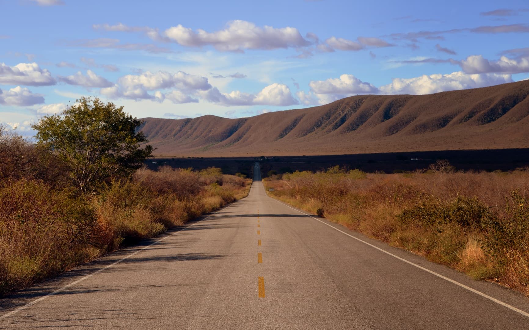 Estrada cruzando a caatinga no sertão da Bahia, paisagem típica da região de Itiúba